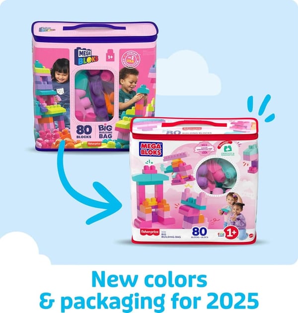 Toddler Building Blocks Set with 80 Pieces and Storage Bag