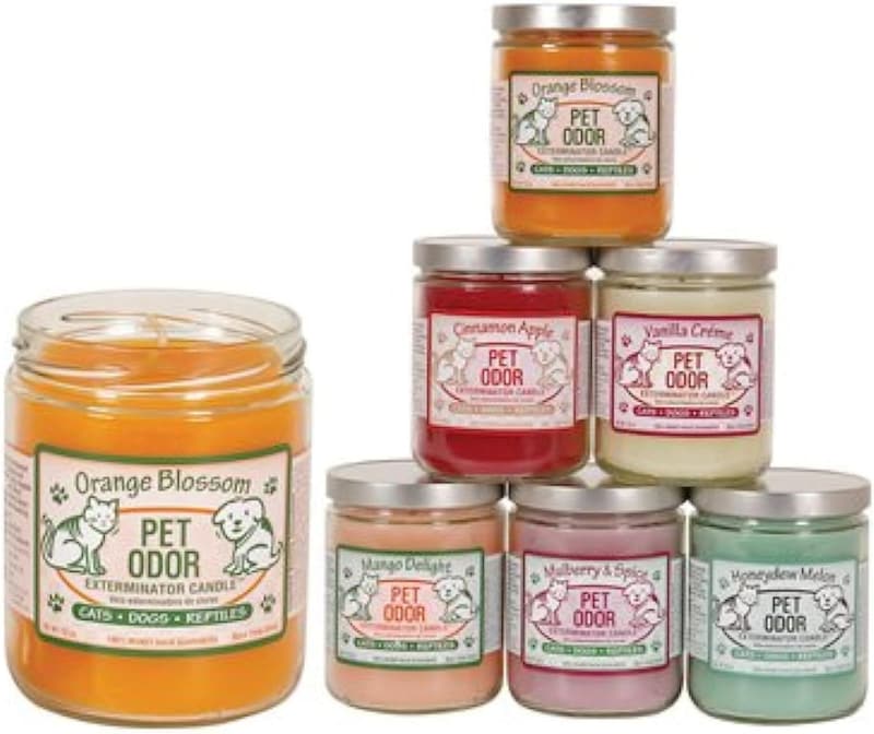 Orange Lemon Splash Pet Odor Exterminator Candle, 13 oz