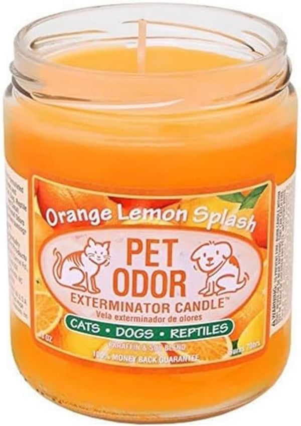 Pet Odor Exterminator Candle - Orange Lemon Splash