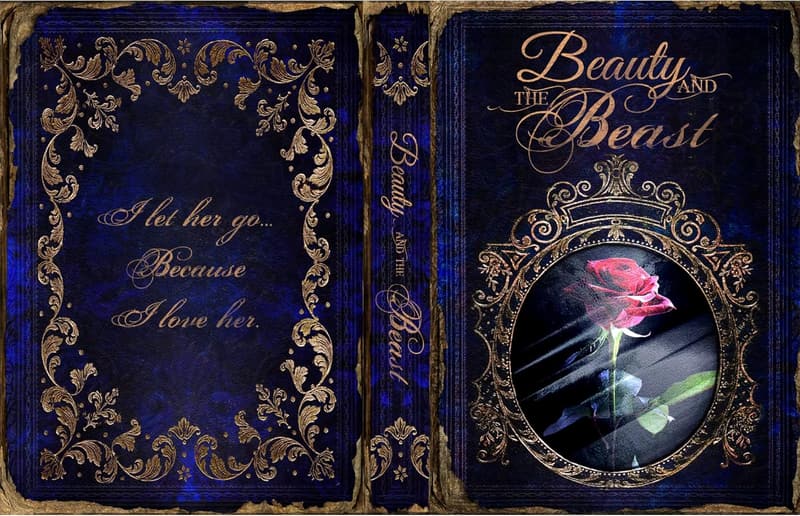 Hidden Safe Book Box with Combination Lock - Beauty & Beast Design
