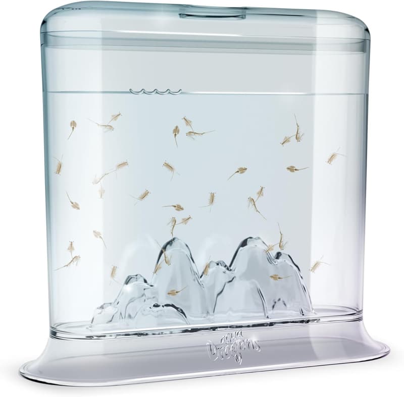 Aqua Dragons Hatch 'n' Grow Science Kit for Ages 6+