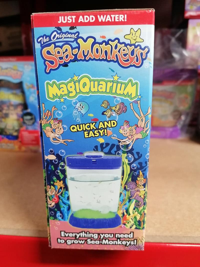 Sea Monkeys Magiquarium Science Kit - Grow Your Own Pets