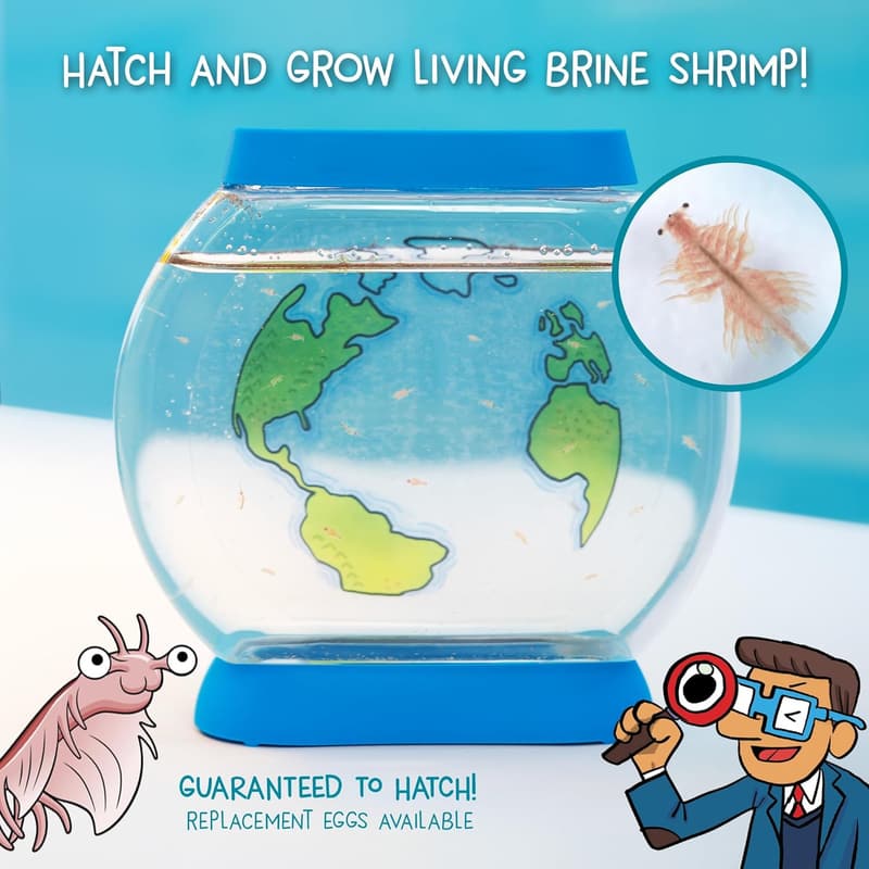 STEM Toy Aquarium for Kids 6+ | Hatch Real Brine Shrimp