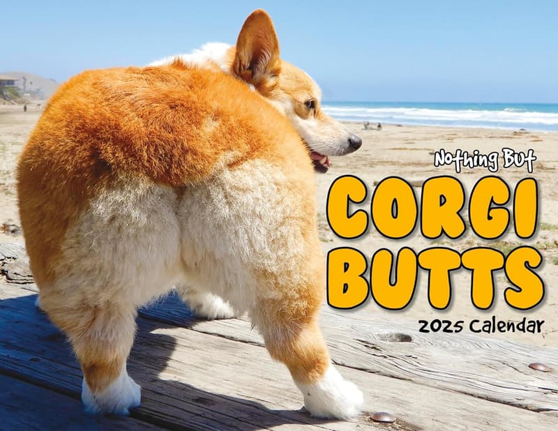 Funny Corgi Butts 2025 Calendar for Dog Lovers