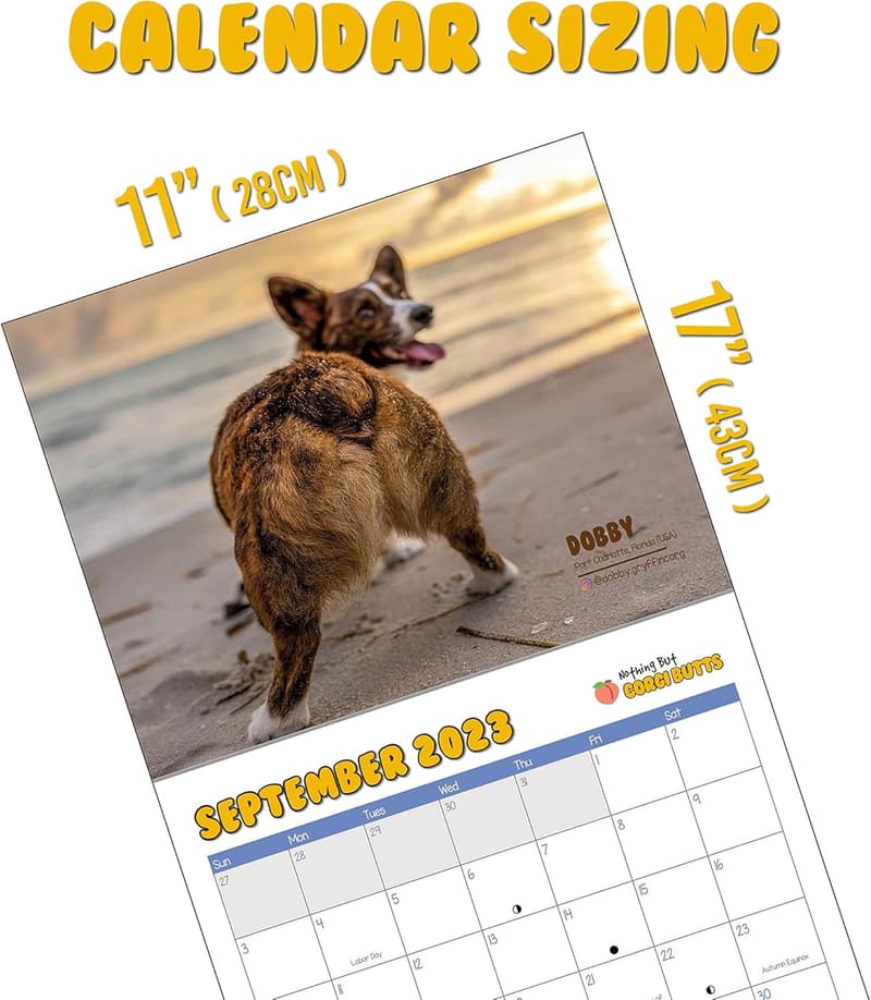 Funny Corgi Butts 2025 Calendar for Dog Lovers