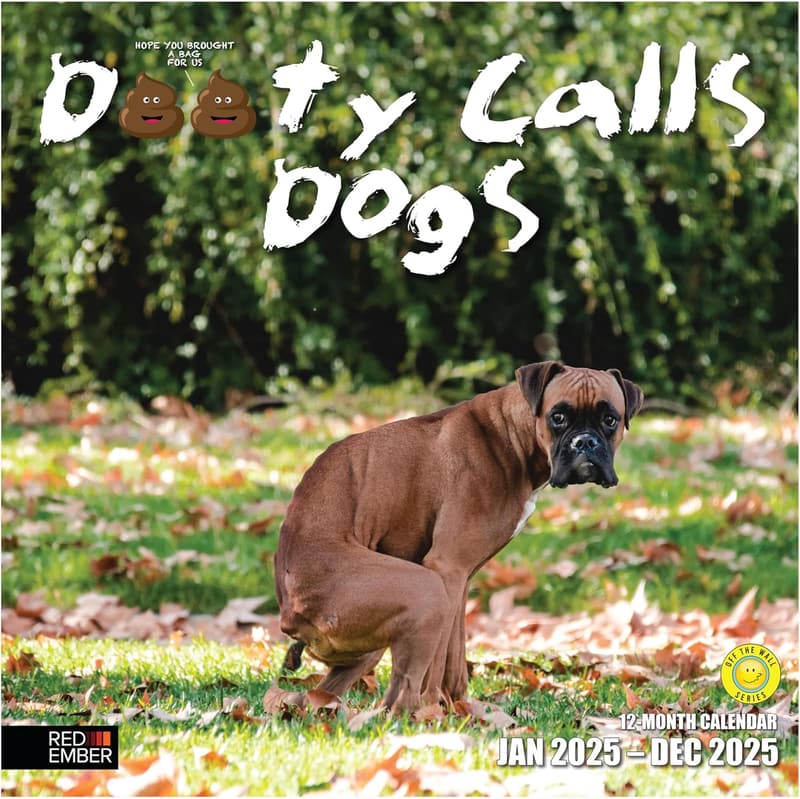 2025 Funny Dog Wall Calendar | 12