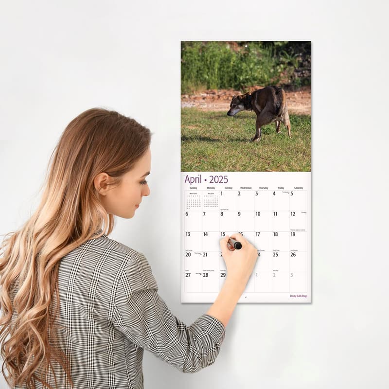 2025 Funny Dog Wall Calendar | 12