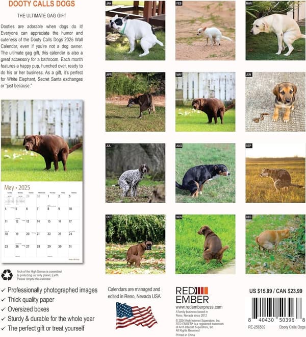 2025 Funny Dog Wall Calendar | 12