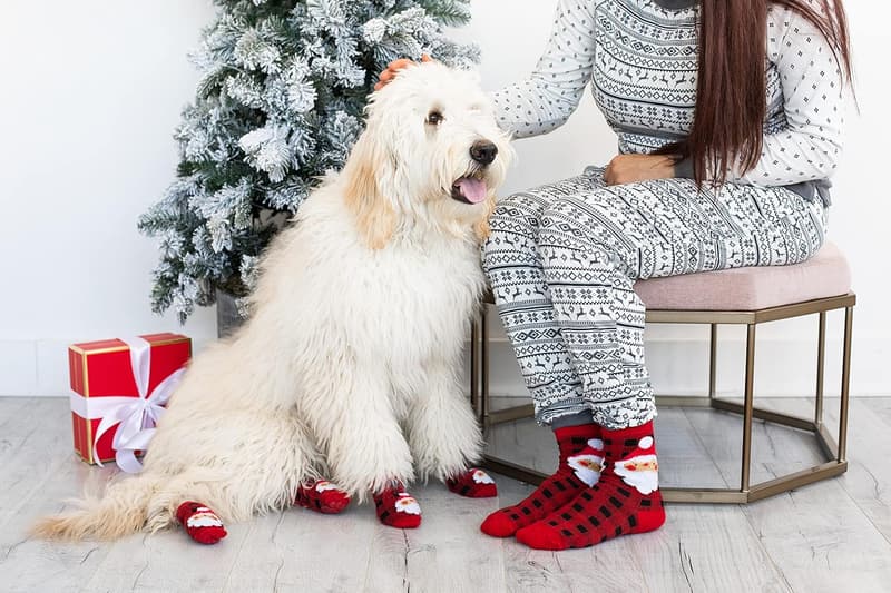 Matching Human and Dog Christmas Socks for Pet Lovers
