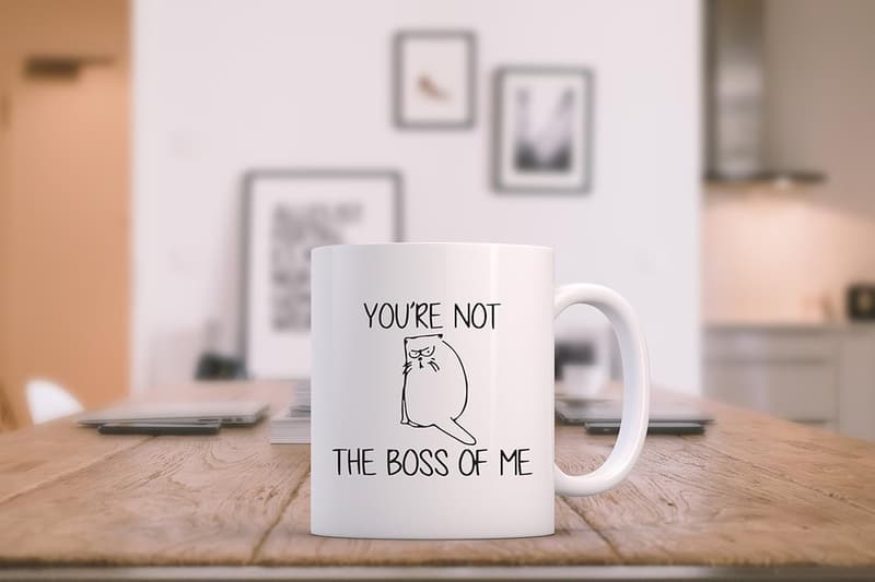 Funny Cat Mug - Unique Gift for Cat Lovers