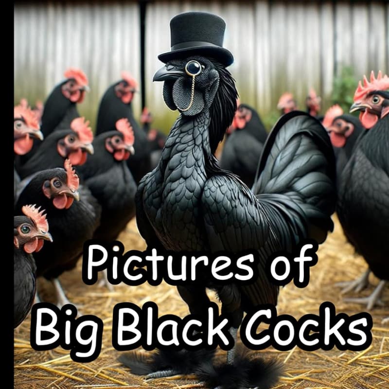 Funny Big Black Cocks Prank Gift for White Elephant and Secret Santa