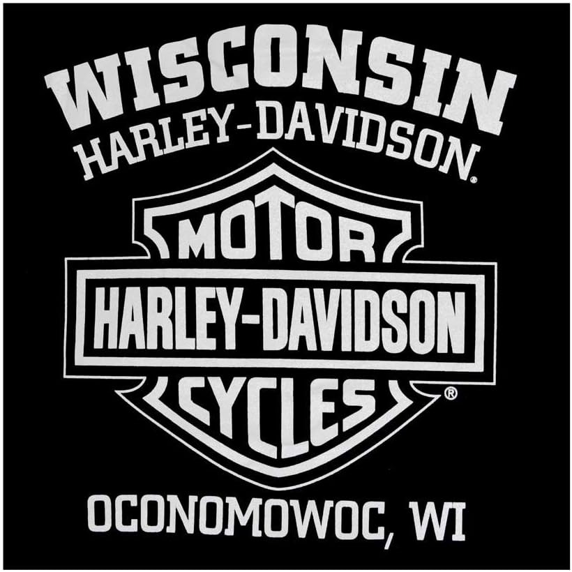 Harley-Davidson Men's Eagle Graphic Black T-Shirt