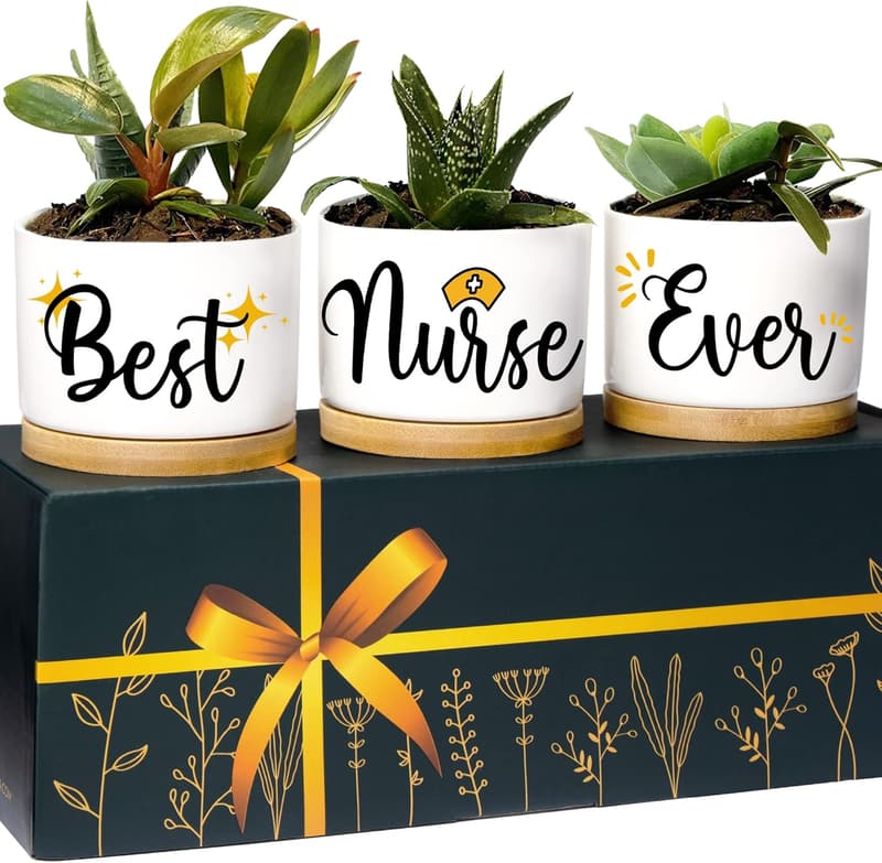 Nurse Week Gift: Planters for Nurses & RNs