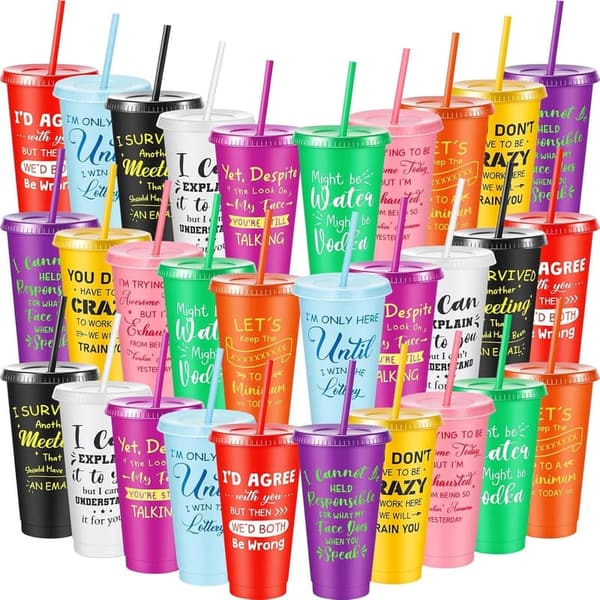 Funny 24oz Plastic Tumblers with Lids & Straws for Office Gifts