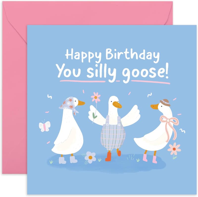 Funny Birthday Card for Women - 'Happy Birthday Silly Goose' with Stickers
