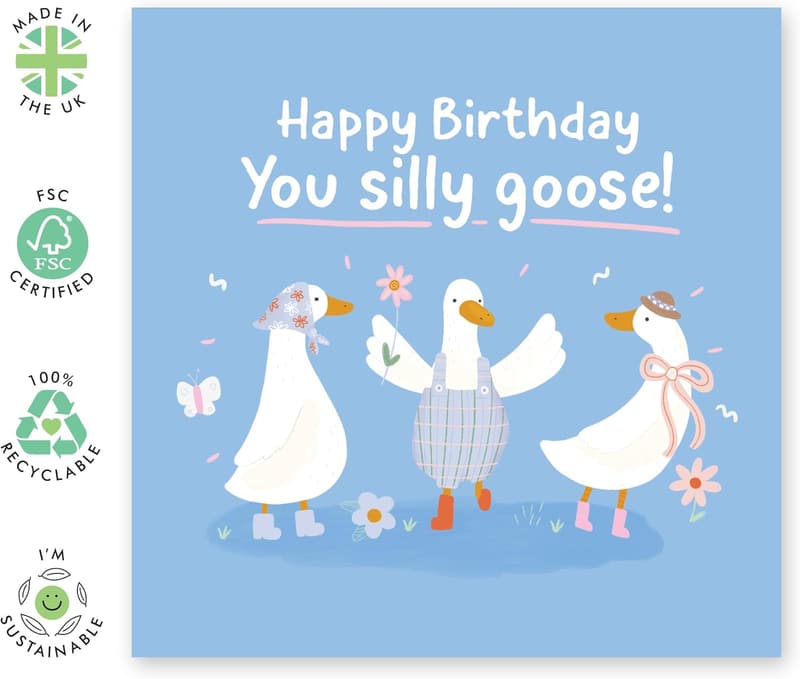 Funny Birthday Card for Women - 'Happy Birthday Silly Goose' with Stickers