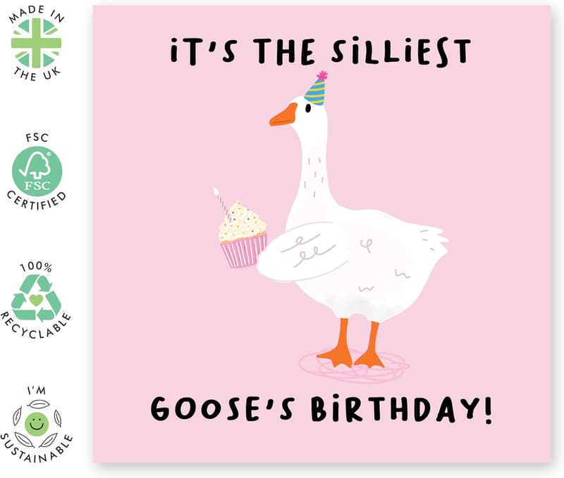 Silliest Goose Birthday Card for Girls with Fun Stickers