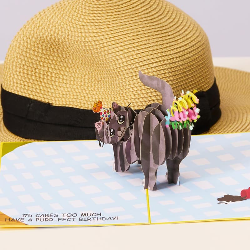 Funny 3D Cat Birthday Card for Cat Lovers