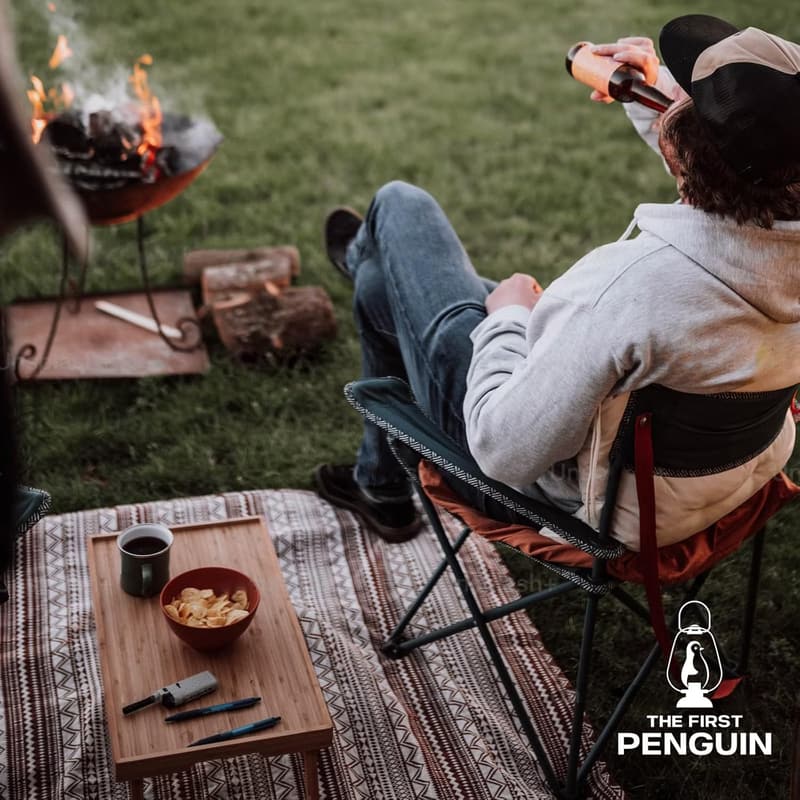 Portable Camping Stove with Carrying Case - 10,000 BTU