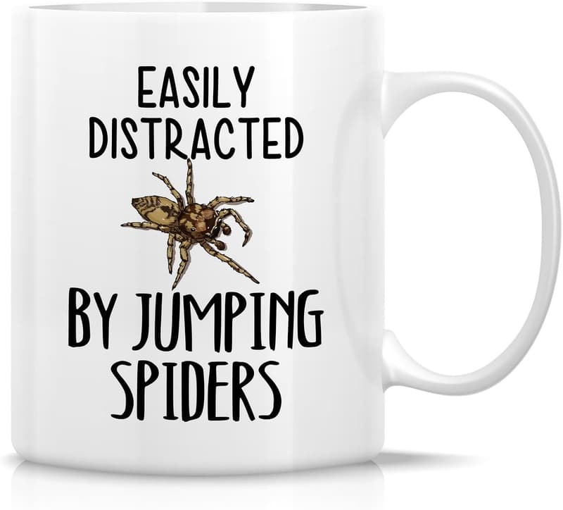 Funny Arachnologist Mug - 11 Oz Ceramic Coffee Cup