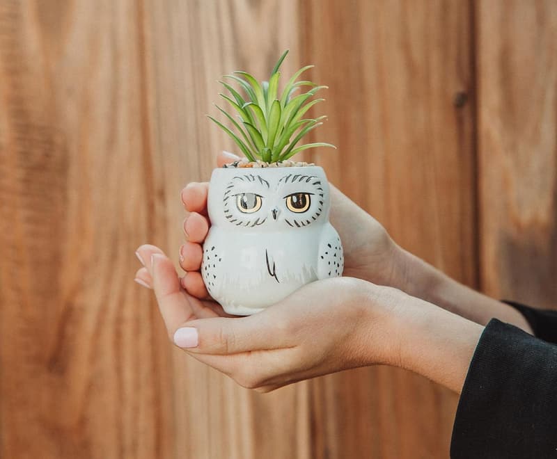 Harry Potter Hedwig Mini Planter with Faux Succulent Decor