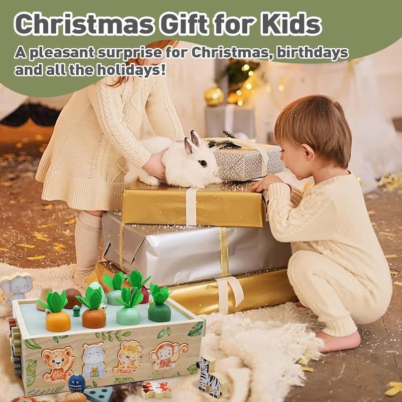 Wooden Montessori Activity Toy for Toddlers (1-4 Years)