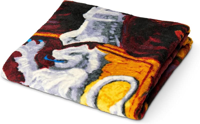 Harry Potter Micro Raschel Throw Blanket - Cozy 46