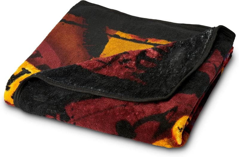 Harry Potter Micro Raschel Throw Blanket - Cozy 46