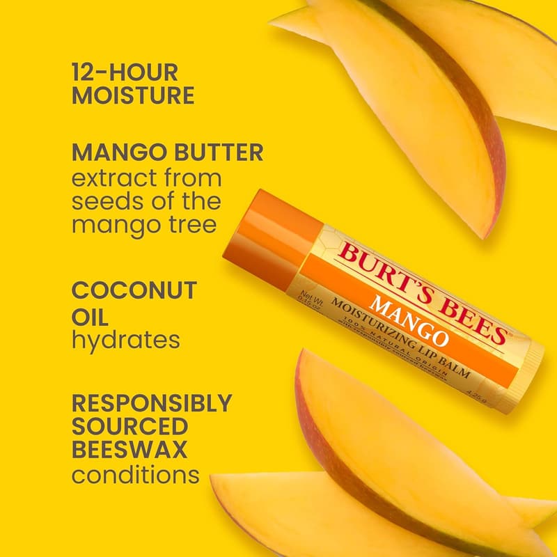 Burt's Bees Natural Lip Balm Pack - 4 Tint-Free Moisturizers