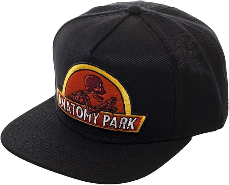 Rick and Morty Anatomy Park Logo Snapback Hat