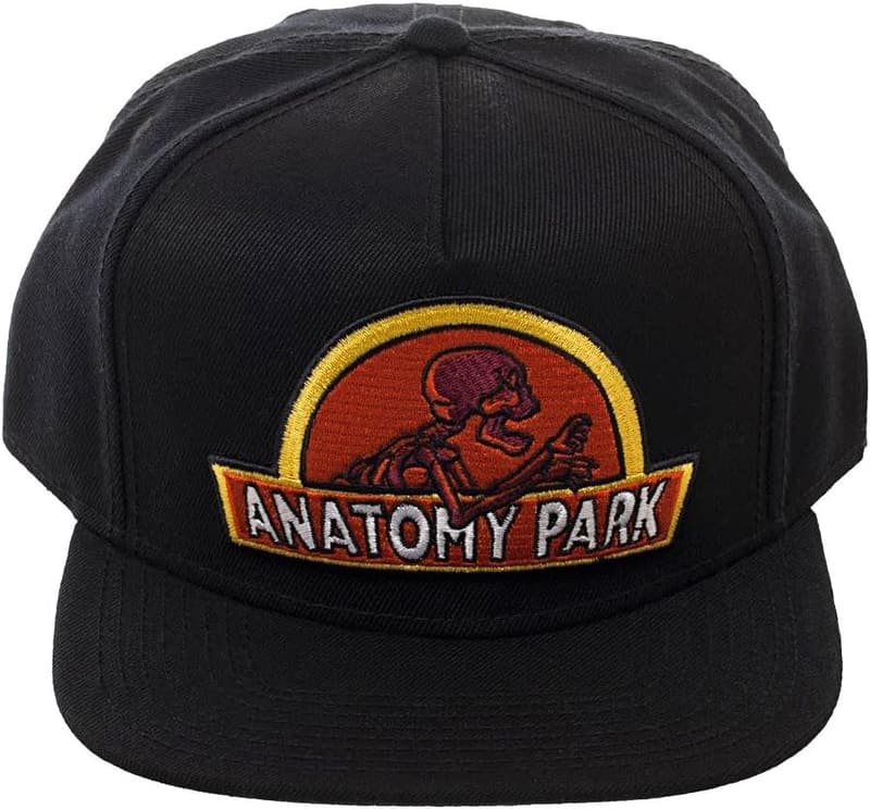 Rick and Morty Anatomy Park Logo Snapback Hat