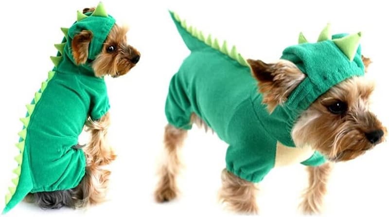 Dinosaur Costume for Medium & Large Dogs - Green