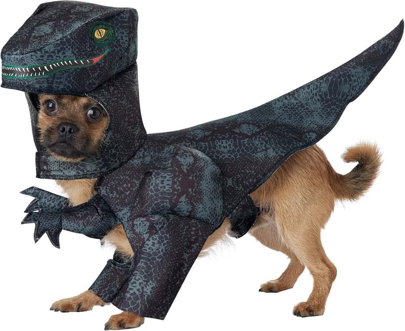 Dog Pupasaurus Rex Costume for Small Dogs