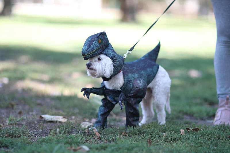 Dog Pupasaurus Rex Costume for Small Dogs