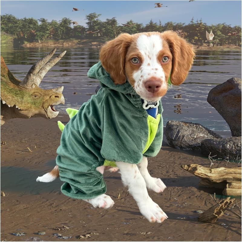 T-Rex Dinosaur Costume for Small Dogs and Cats