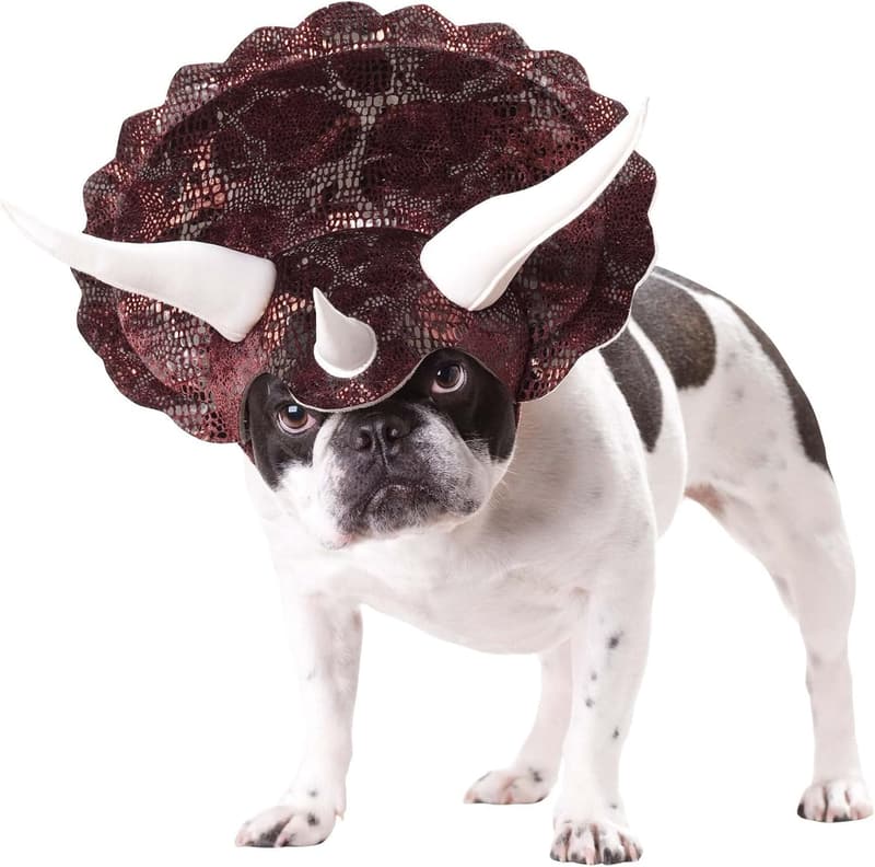 Burgundy Triceratops Dog Costume for Small Pets