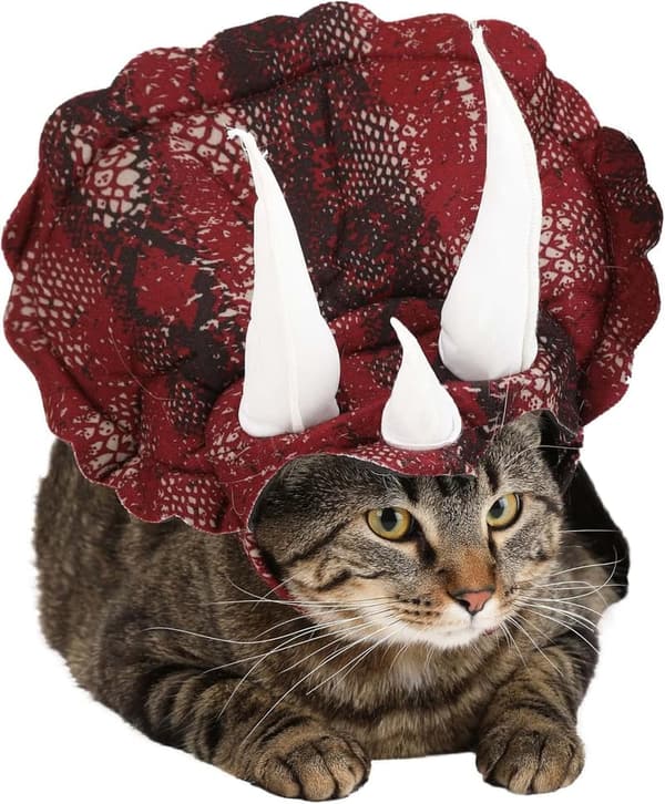 Burgundy Triceratops Dog Costume for Small Pets