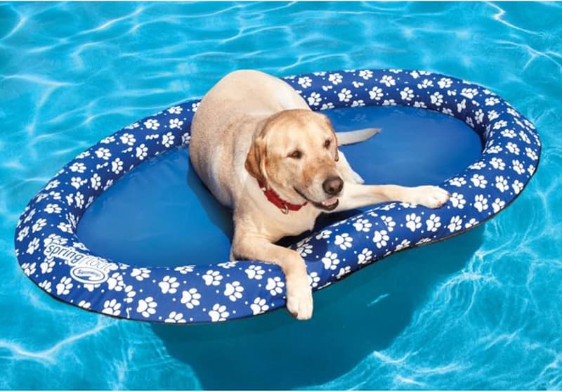 Large Blue Dog Raft - SwimWays Paddle Paws Spring Float