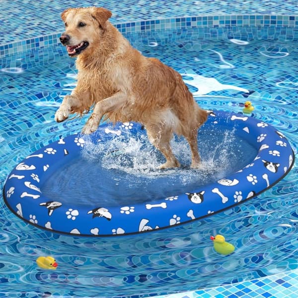 Inflatable Dog Swim Float - Summer Water Raft