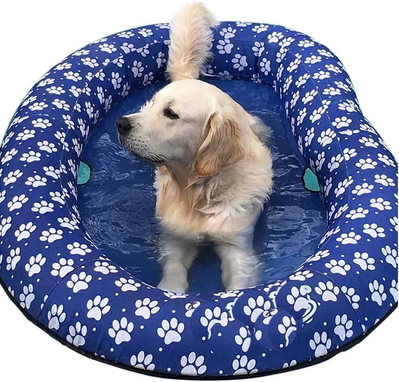 Large Blue Inflatable Pool Float for Dogs and Puppies