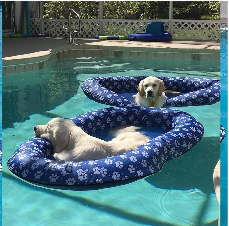 Large Blue Inflatable Pool Float for Dogs and Puppies