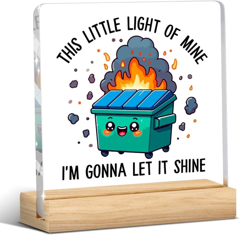 Funny Dumpster Fire Desk Decor - Acrylic Plaque for Office