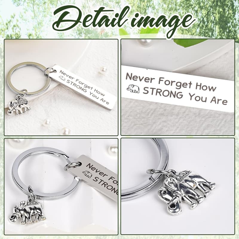 Motivational Keychains - Elephant, Dragon, Flamingo Gifts for All