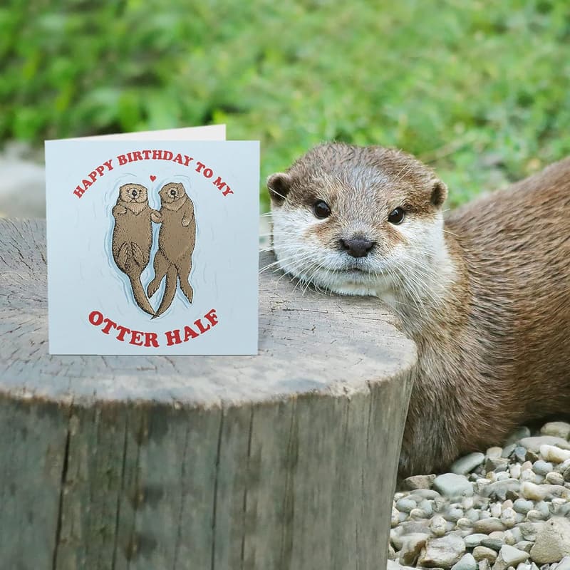 Funny Birthday Card - 'Happy Birthday To My Otter Half' - For Couples