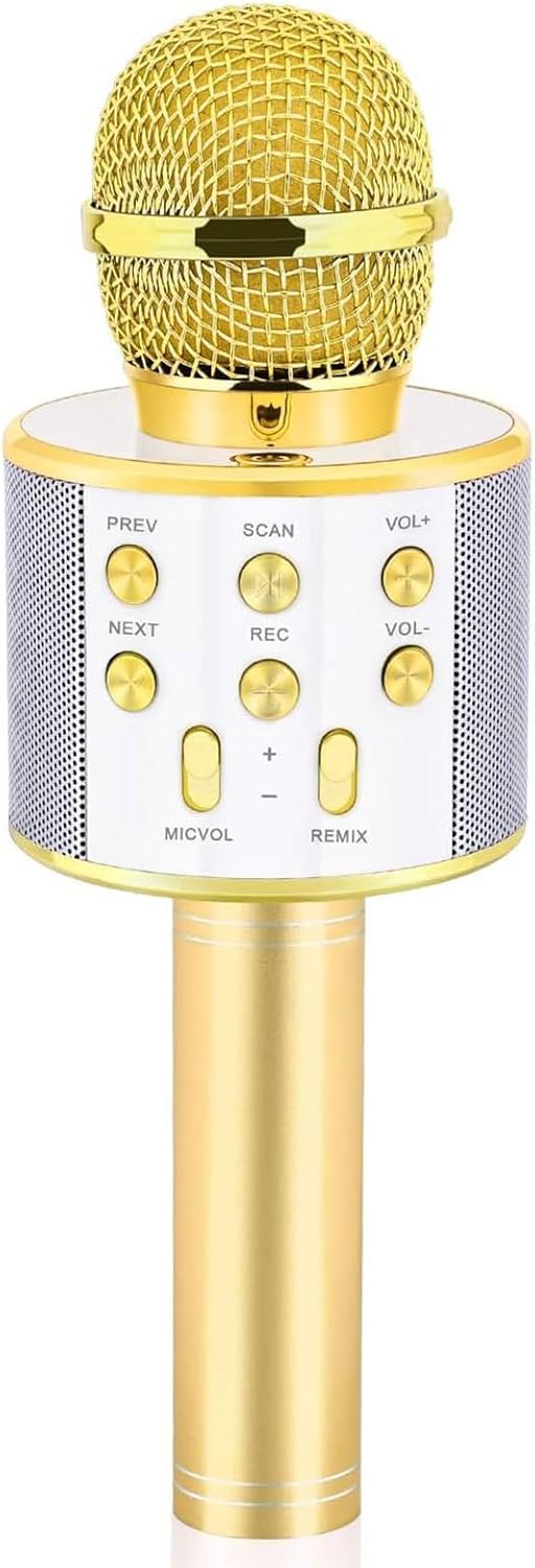 Handheld Karaoke Microphone for Girls 4-13 - Birthday Gift