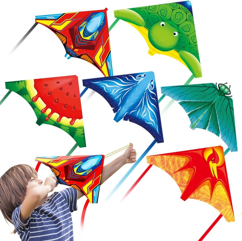 Outdoor Flying Kites & Airplane Launcher Set for Kids (3-8)
