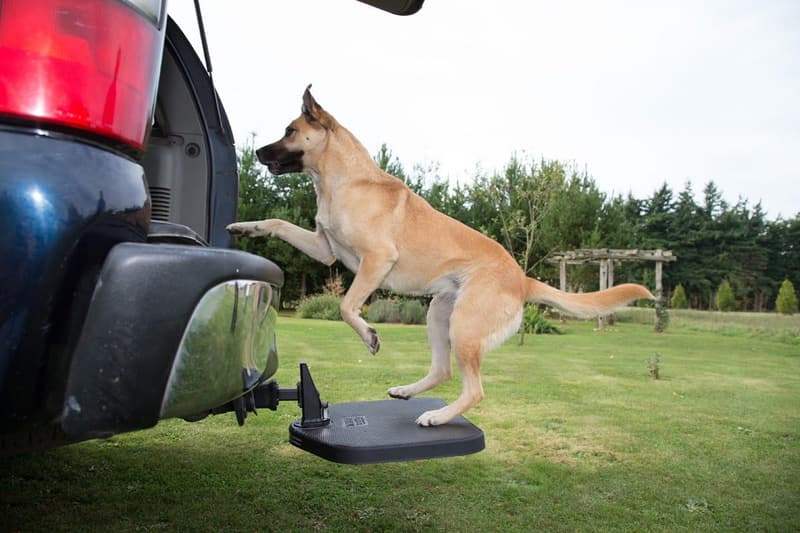 Portable Dog Hitch Step with Lock for Easy Access