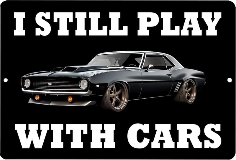 Sarcastic Metal Tin Sign for Man Cave or Garage, 12x8 Inch