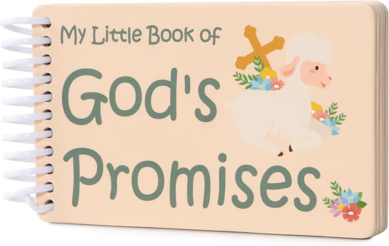 Baptism Gift: God's Promises Book for Boys & Girls