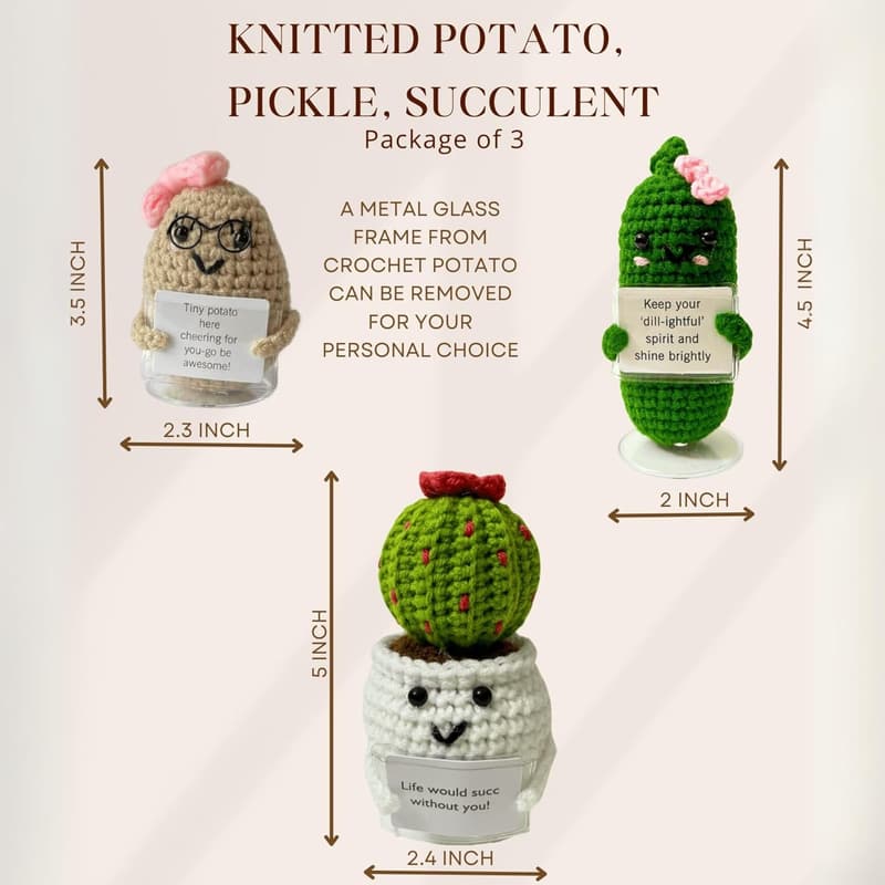 Crochet Succulent with Stand - Gift for Coworkers or Friends